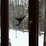 Jastrzebia Turnia Гостевой дом Закопане